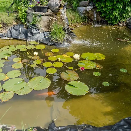 Casa vacanze Casa Ananda By Interhome *