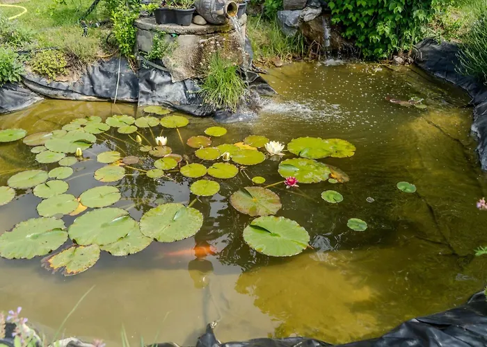 Casa vacanze Casa Ananda By Interhome *